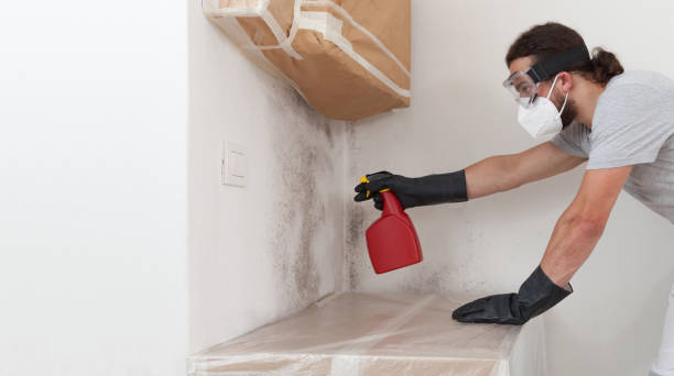Professional Black Mold Remediation technician working in Angier, NC
