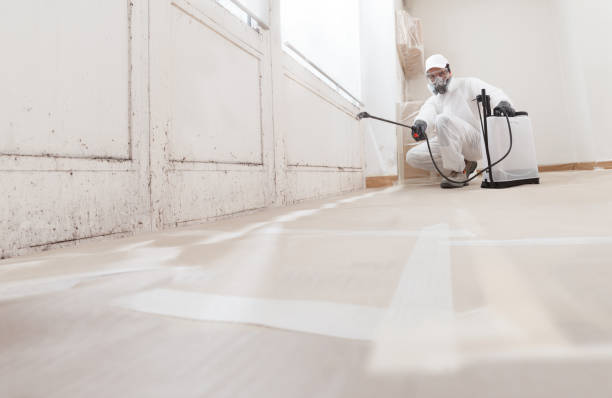 24/7 Emergency Black Mold Remediation experts in Angier, NC