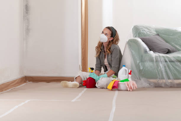 Reliable Black Mold Remediation contractor in Angier, NC by Car Mold Remediation