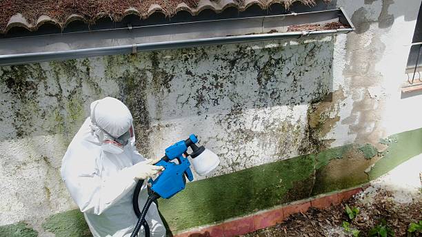 Top rated local Black Mold Remediation specialists in Angier, NC